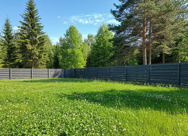 Заветы Ильича 20 км, г. о. Пушкинский, Ярославское шоссе фото