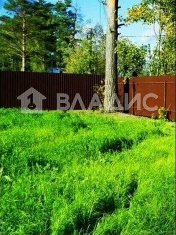 снт Ягодка Парнас, 749 фото