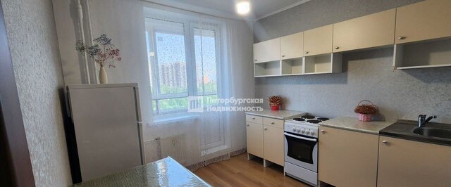 пр-кт Авиаторов Балтики 17 Девяткино, Муринское городское поселение фото