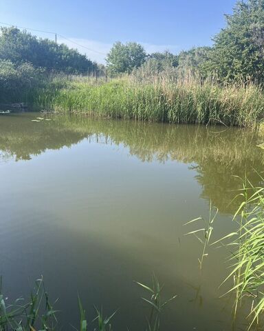 снт Резинщик Новопоселеновский сельсовет, Курск фото