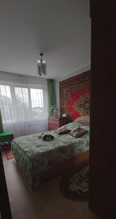 квартира р-н Карасукский г Карасук ул Калинина 1 фото 11