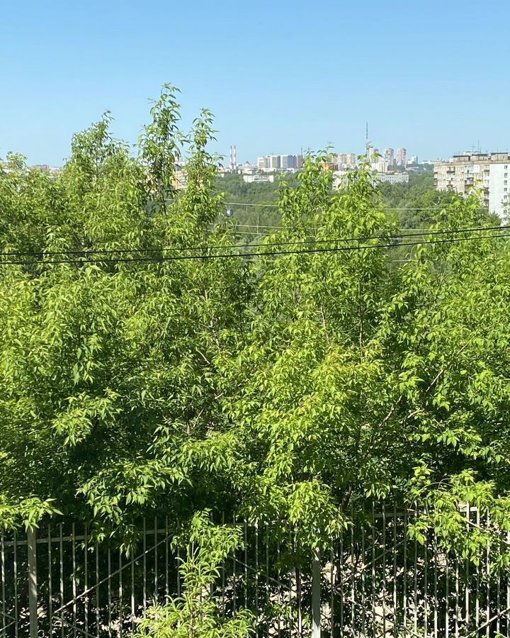 квартира г Нижний Новгород р-н Нижегородский Верхние Печёры Горьковская ул Германа Лопатина 8 фото 29