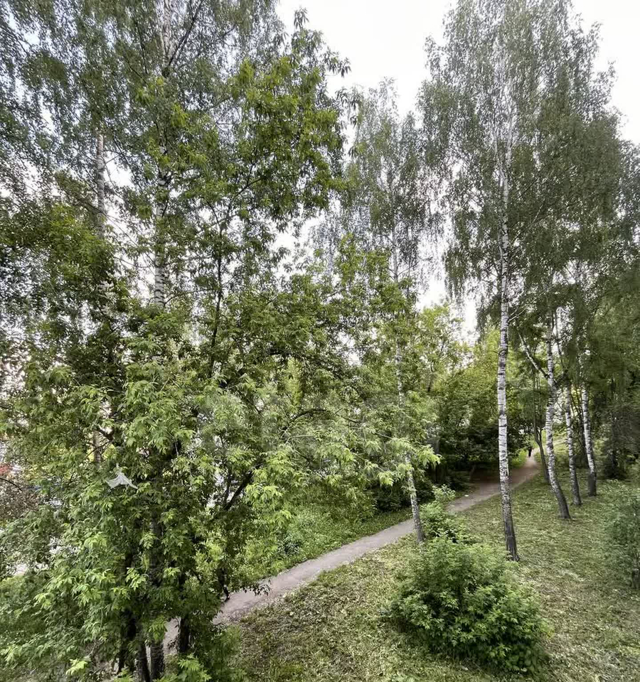 квартира г Ижевск р-н Октябрьский Север ул Майская 16 14-й Северный м-н фото 11