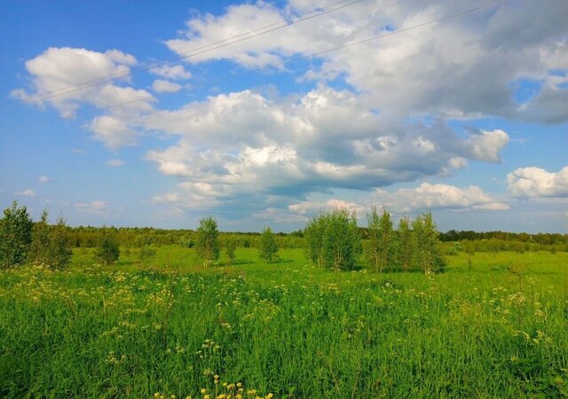 68 км, Рогачево, Рогачёвское шоссе фото