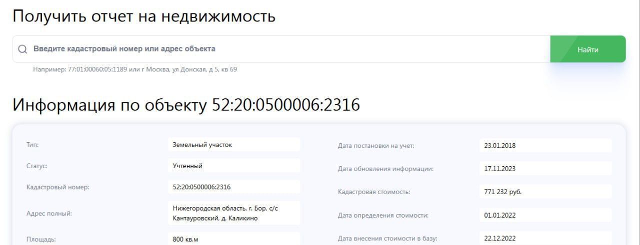 земля г Бор с Линда ул Новая д. Каликино фото 3