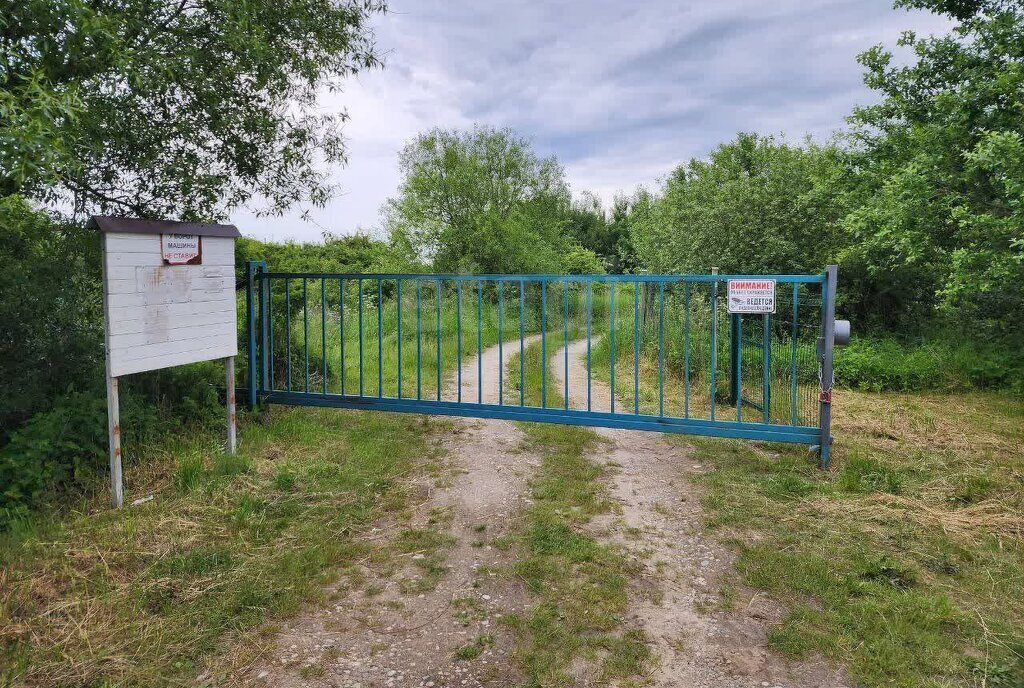 земля р-н Зеленоградский г Зеленоградск садовые участки фото 15