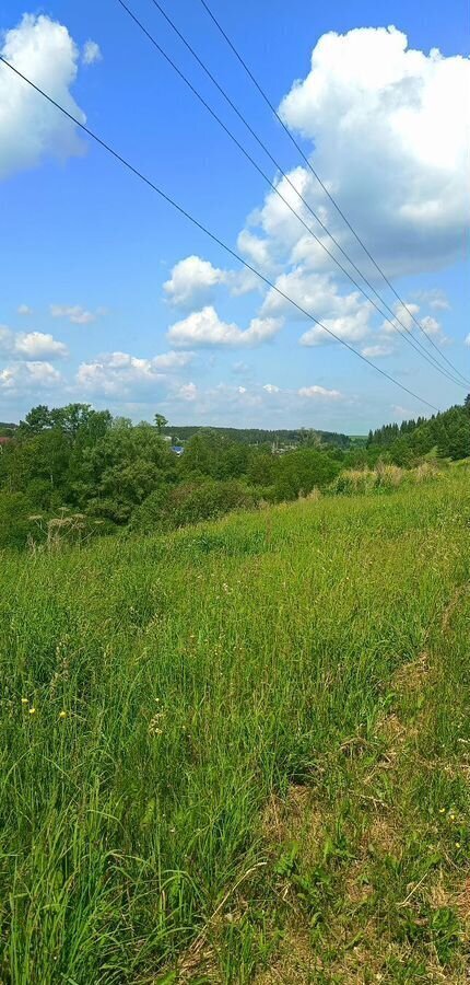 земля г Чайковский с Большой Букор ул Восточная с Фоки фото 2