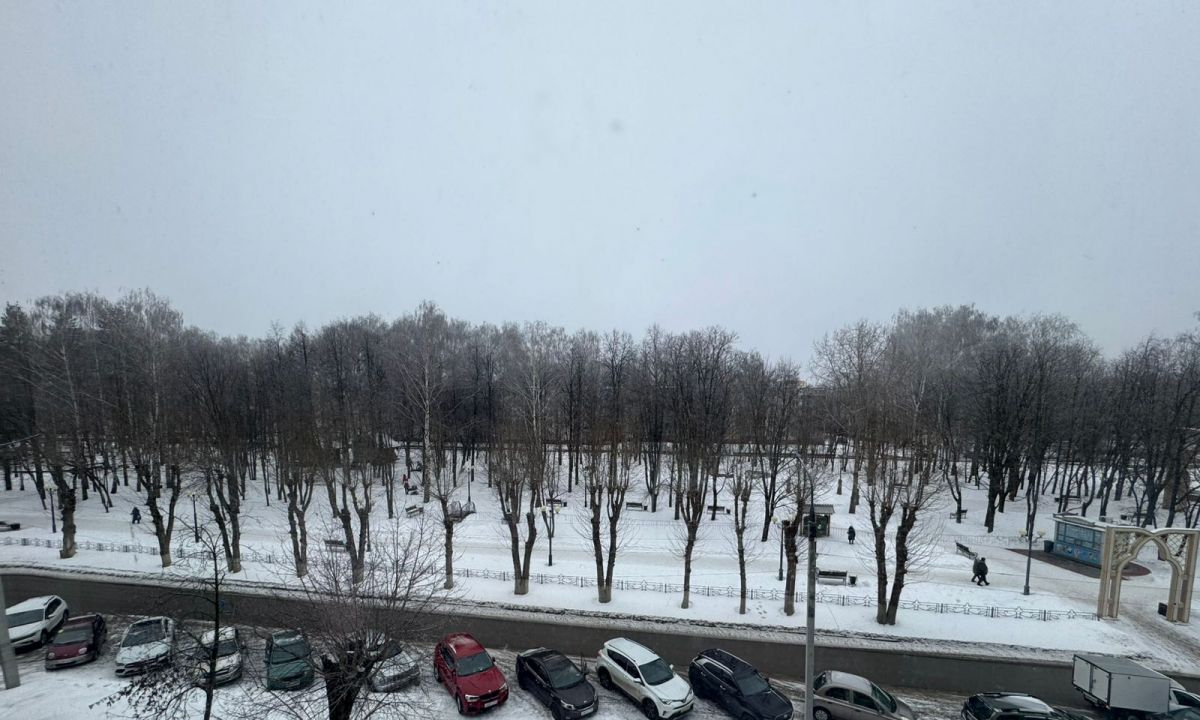квартира р-н Нижнекамский г Нижнекамск ул Тукая 31 фото 12