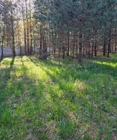 Лесная улица, 125В, деревня Александровка фото