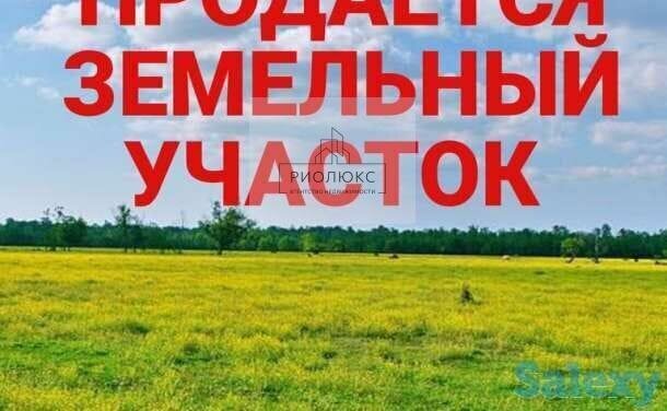 садовое товарищество Богатый Остров фото