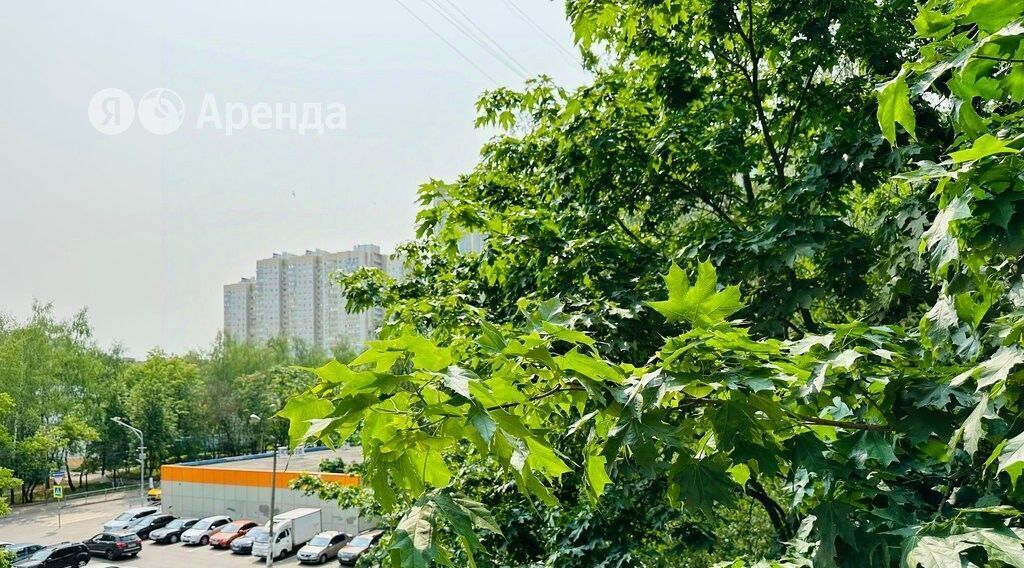 квартира г Балашиха ул Фадеева 19 Кучино фото 18