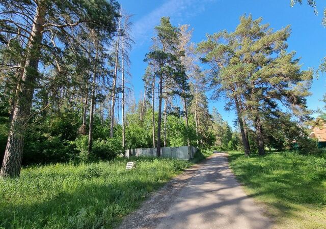 Красноярский р-н, сельское поселение Светлое Поле, Мирный, Сосновая ул фото