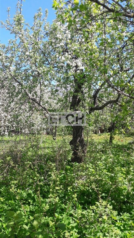 земля г Люберцы ул СНТ Зеленая зона ул фото 3