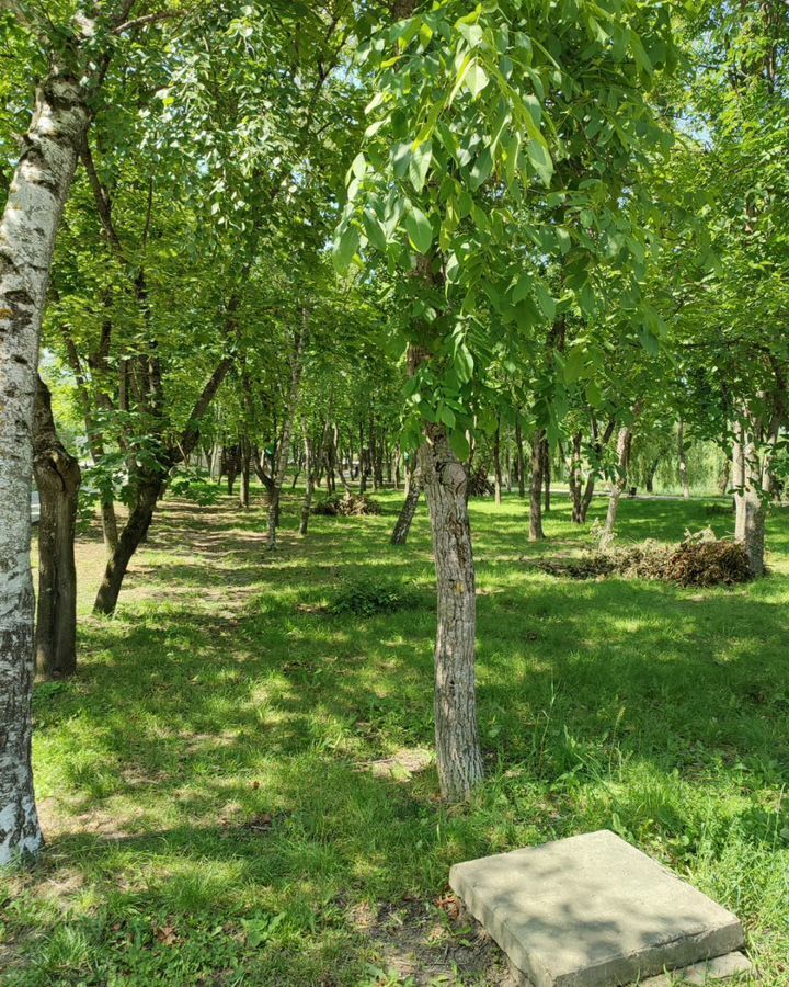 квартира г Железноводск ул Ленина 130 фото 21