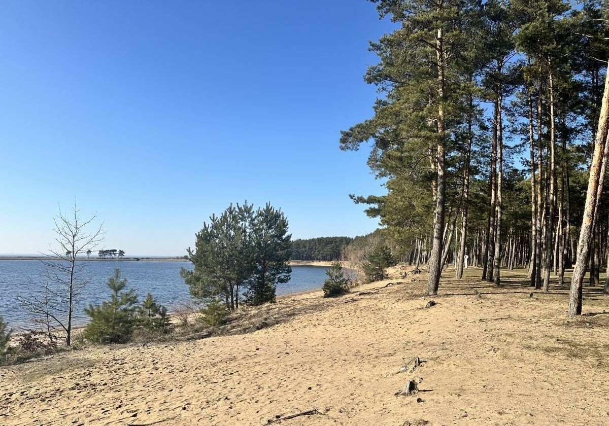дом г Калининград р-н Московский снт Мечта пр-д 7-й фото 1
