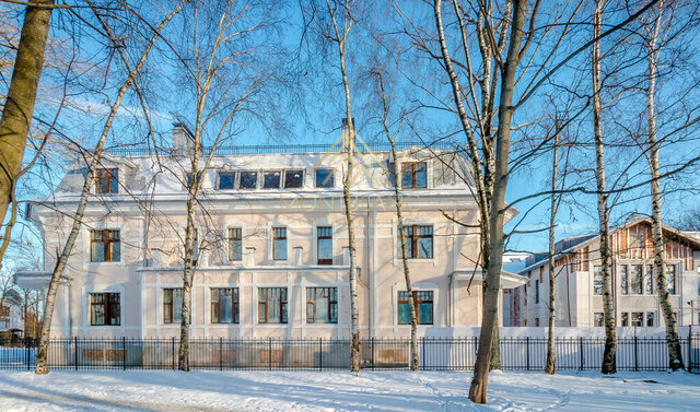 Черная Речка Каменный остров фото