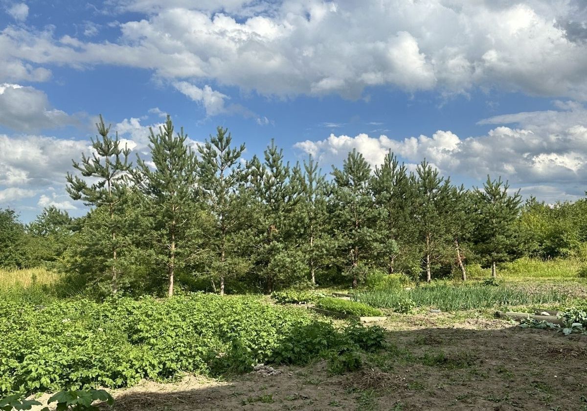 дом р-н Зеленоградский г Зеленоградск ул Гвардейская 5 фото 26