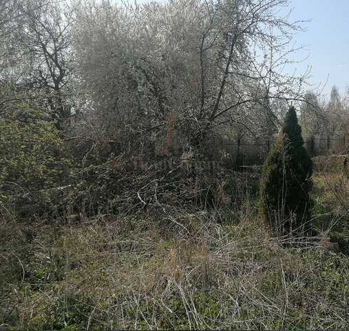п Лихвинка проезд Лихвинский 11-й фото