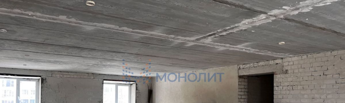 квартира г Нижний Новгород Печёрская Долина ул Родионова 193/3 фото 4