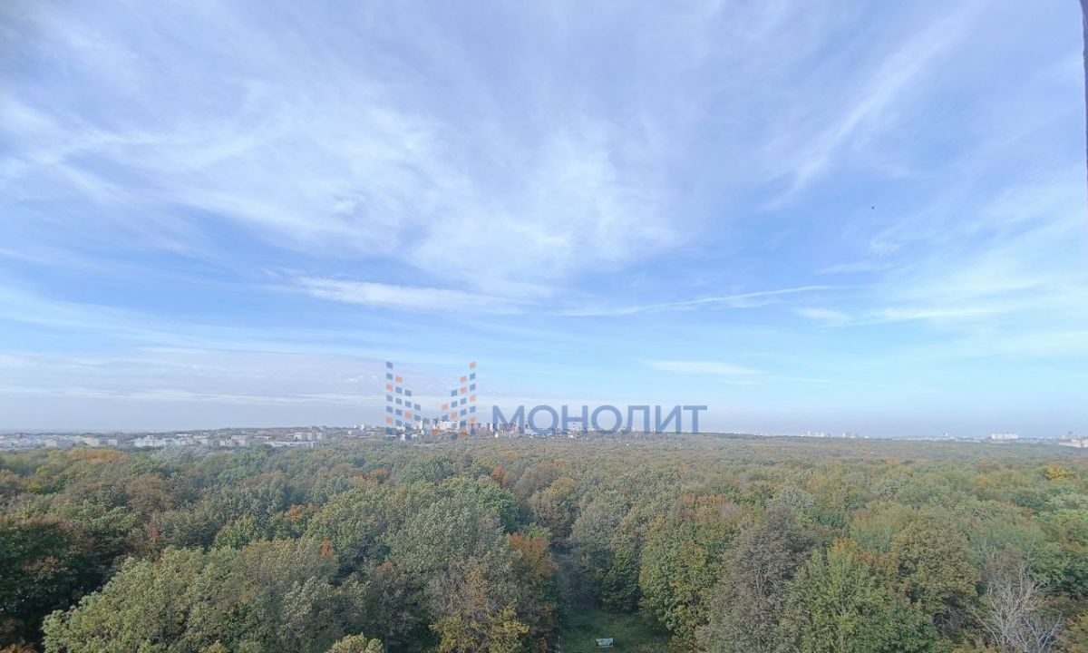 квартира г Нижний Новгород ш Анкудиновское 34 фото 3