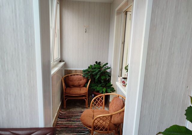 Завеличье пр-кт Рижский 87а фото