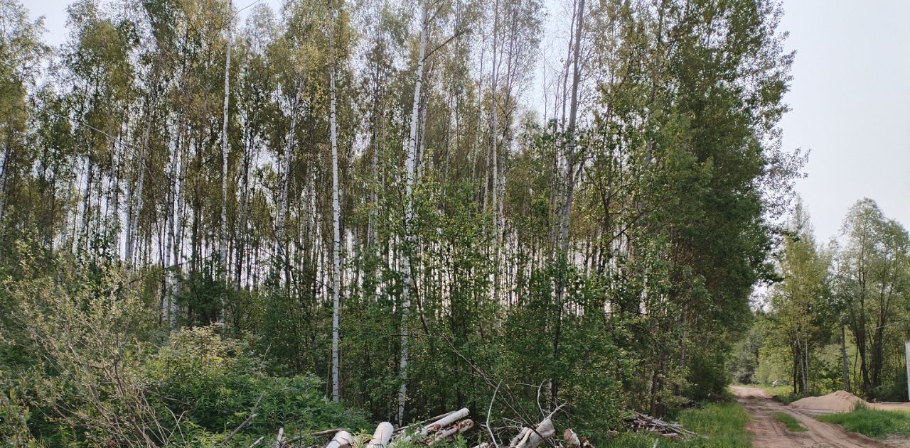 земля г Дубна тер Стела ПОИЗ фото 3