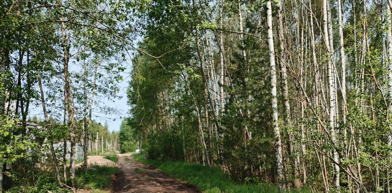 земля г Дубна тер Стела ПОИЗ фото 4