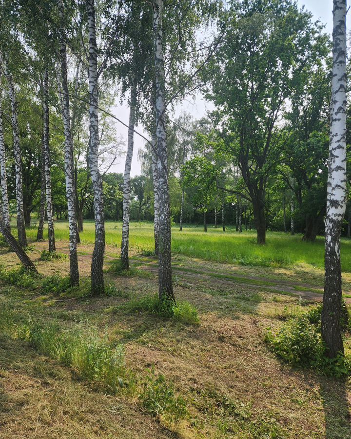 дом г Курск р-н Сеймский ул Гуторовская 1-я 45 фото 16