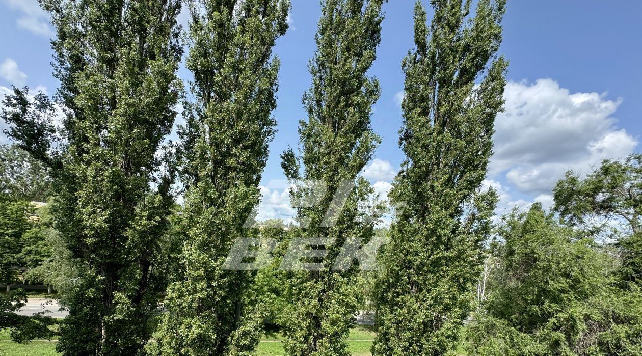 квартира г Курск р-н Сеймский ул Серегина 13 фото 1