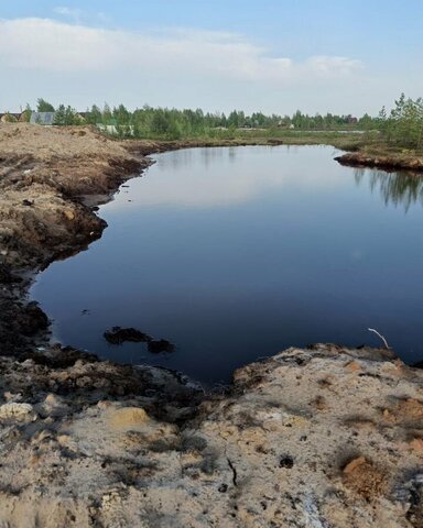 земля Тюменская обл. фото