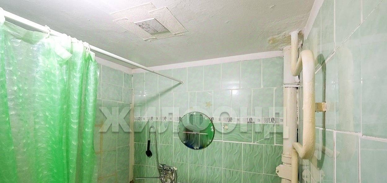 квартира г Новосибирск Речной вокзал ул Выборная 117 фото 8