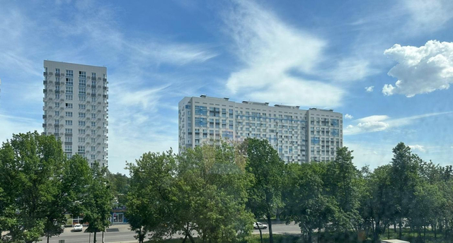 Серебрянка 58 фото