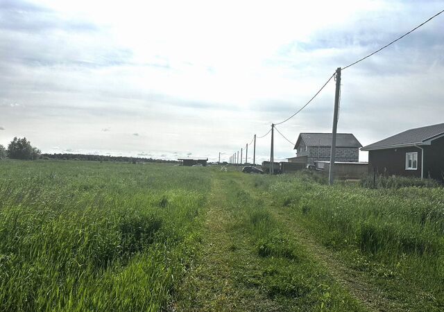 ул Новая Розовское сельское поселение, Омск фото