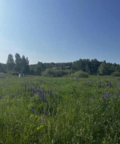 Парк Культуры фото