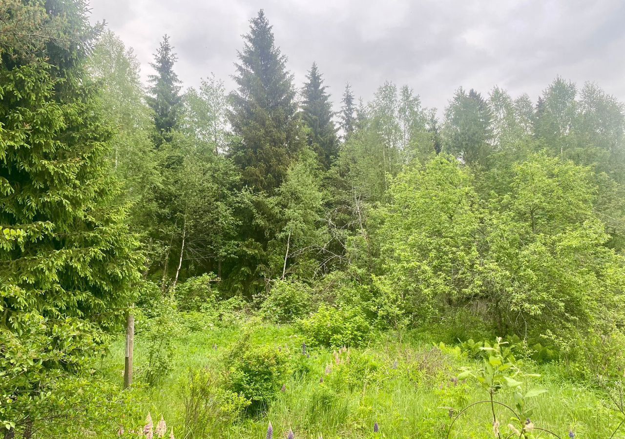 дом городской округ Талдомский г Талдом снт Маяк 83 км, Дмитровское шоссе фото 6