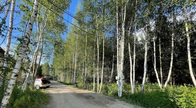 п Первомайское д Милюково ул Рузская 70 Крёкшино, Деревня фото