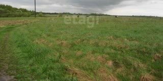 земля г Черногорск ул Ботаническая фото 4