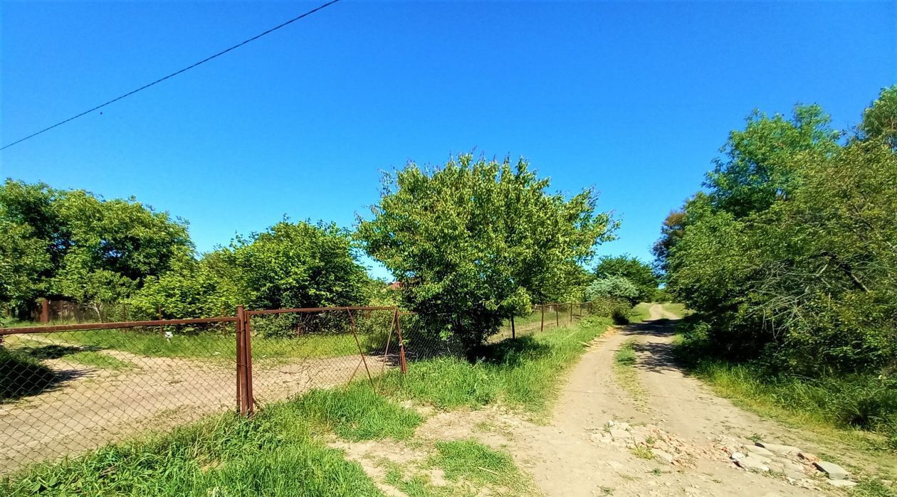 земля р-н Ейский г Ейск п Широчанка снт Янтарный фото 3