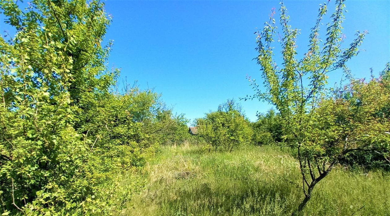 земля р-н Ейский г Ейск п Широчанка снт Янтарный фото 10