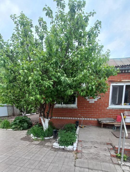 дом г Омск р-н Кировский ул 1-я Лесоперевалка 27 фото 5