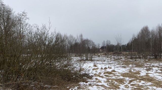 Река Истра, Нахабино фото