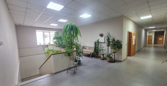Золотая Нива ул Никитина 114б фото