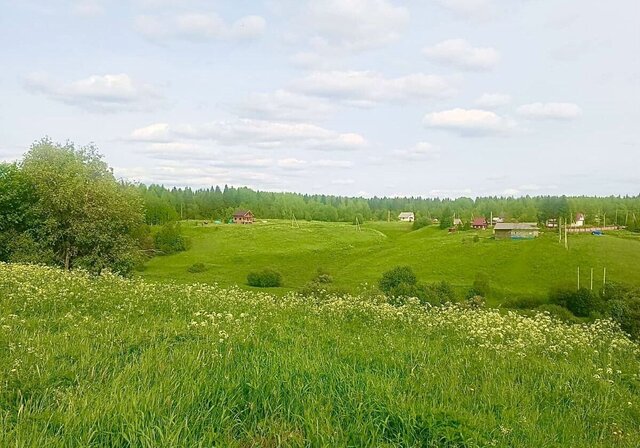 Новодвинск фото