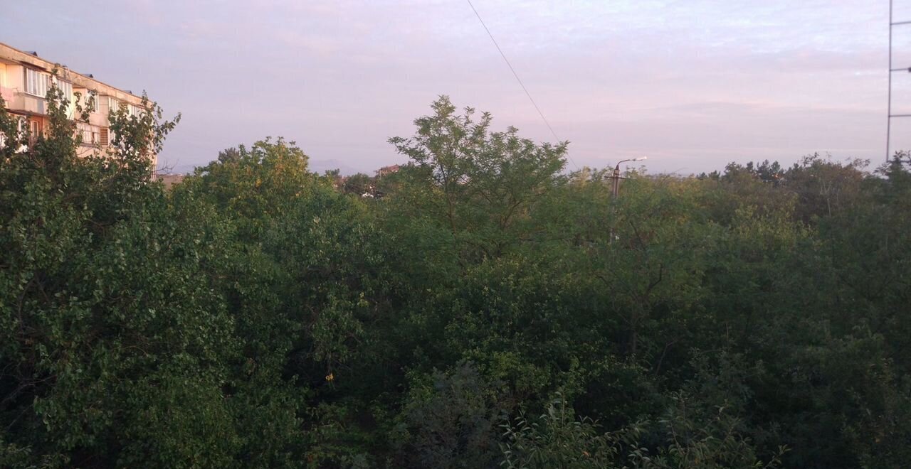 квартира г Симферополь пгт Аграрное ул Научная 5 Мирное фото 1