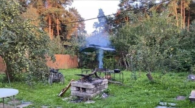снт Берёзка 61, Домодедово фото