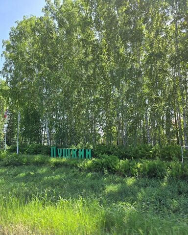 ул Ксении Петербургской Пушкинское сельское поселение, Омск фото