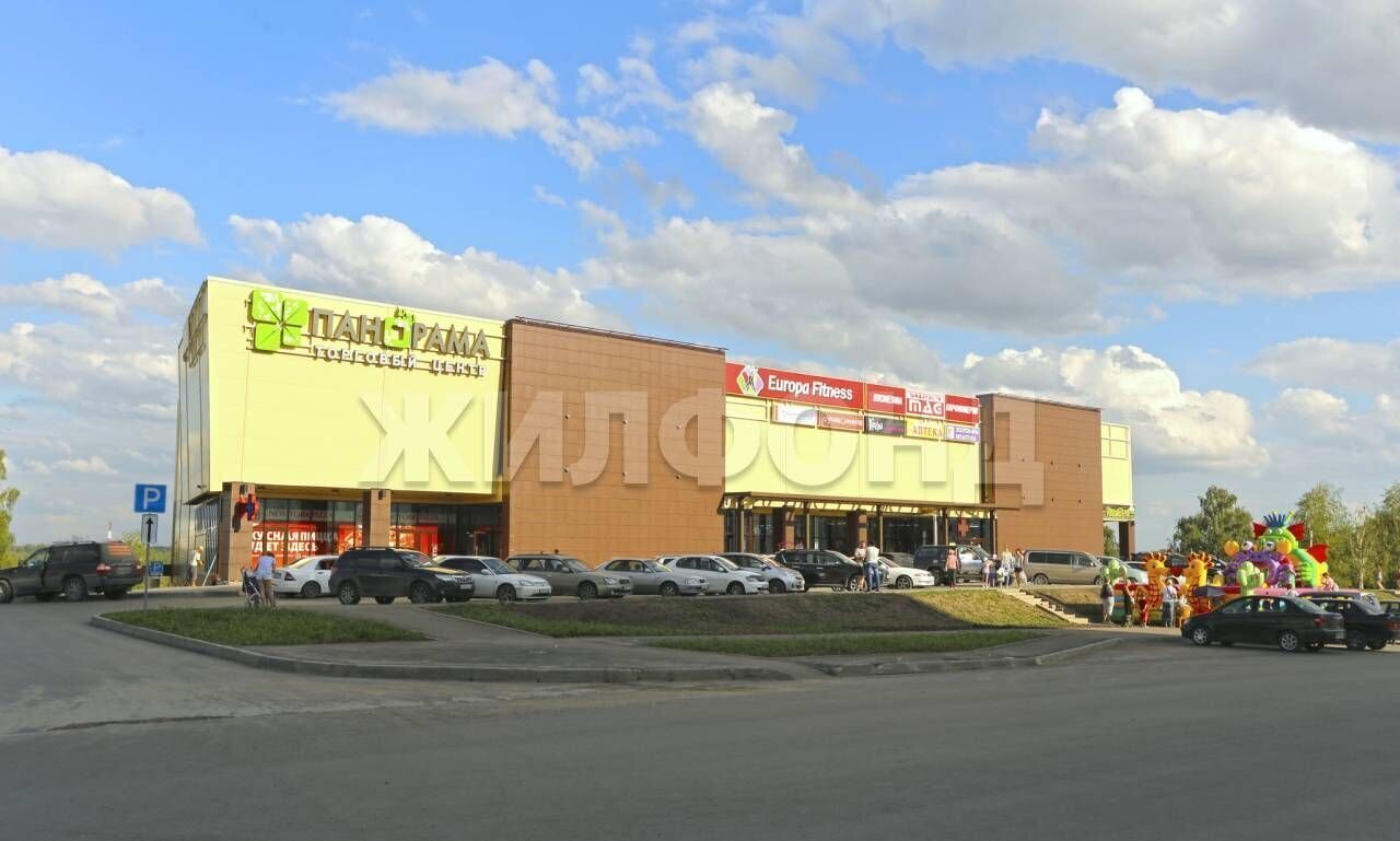 квартира г Новосибирск Золотая Нива ул Татьяны Снежиной 46/1 фото 4