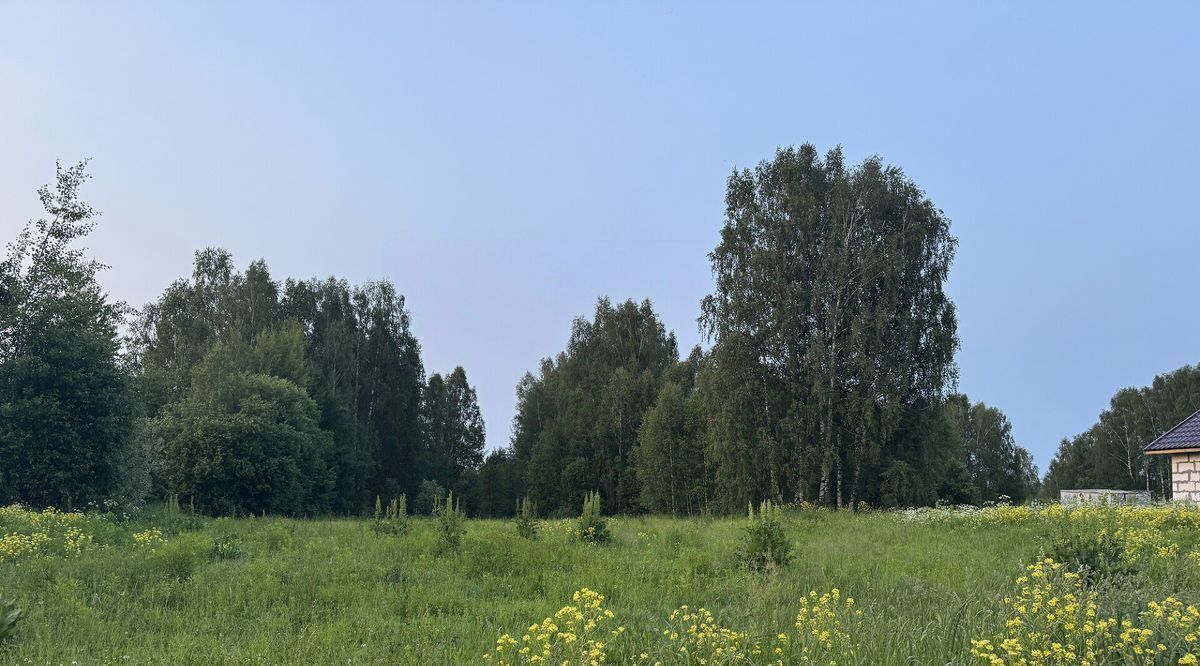 земля г Бор д. Елисино, 17/1 фото 1