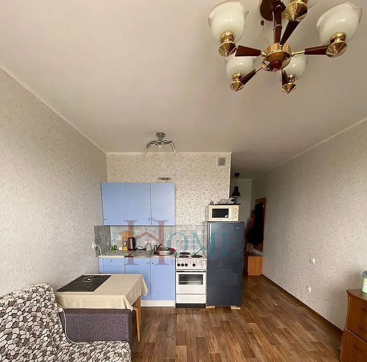 квартира г Новосибирск ул Виктора Уса 9 Площадь Маркса фото 6