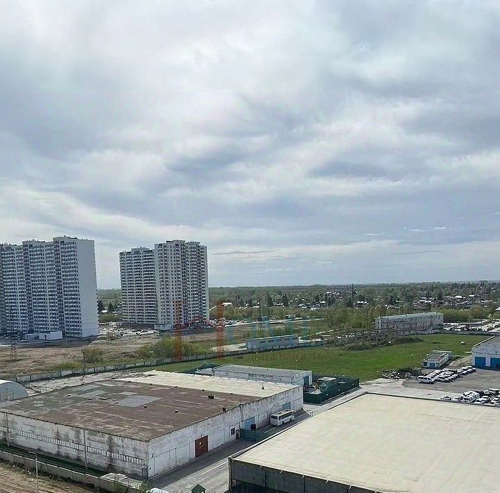 квартира г Новосибирск ул Виктора Уса 9 Площадь Маркса фото 18